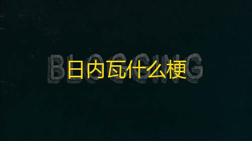 和平精英辅助工具日内瓦什么梗